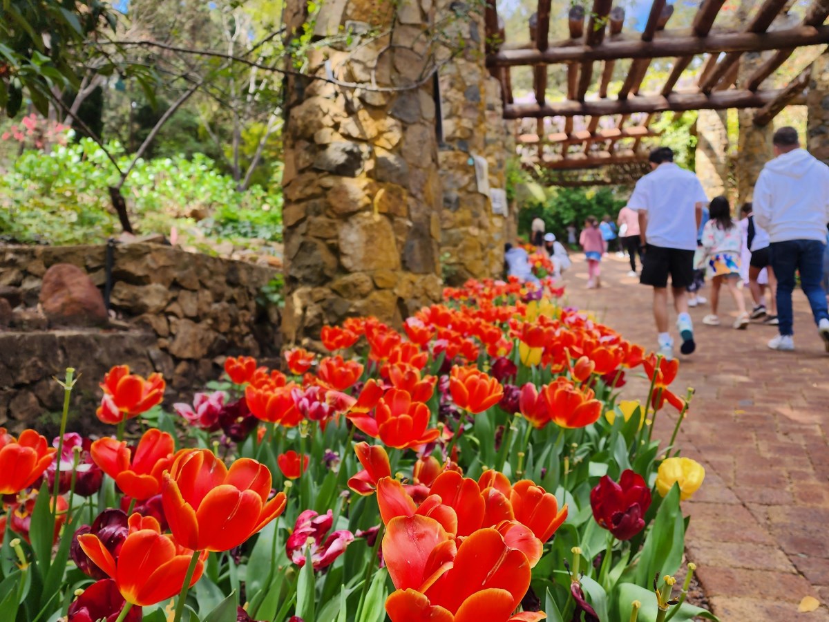 Yates Springtime Festival At Araluen Botanical&nbsp;Park