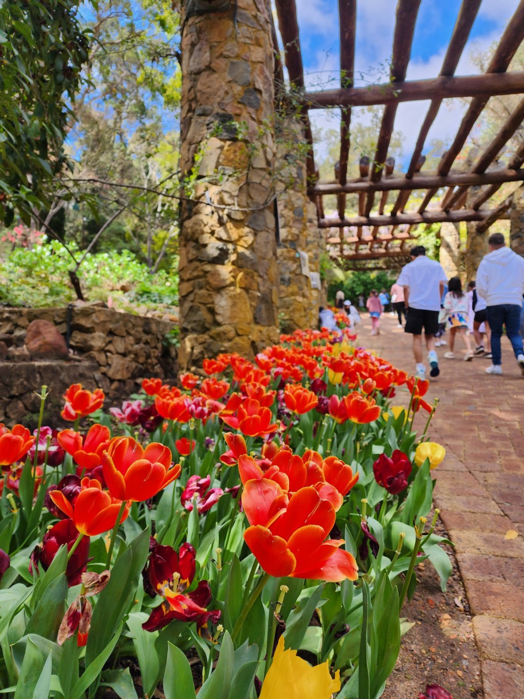 Yates Springtime Festival At Araluen Botanical&nbsp;Park