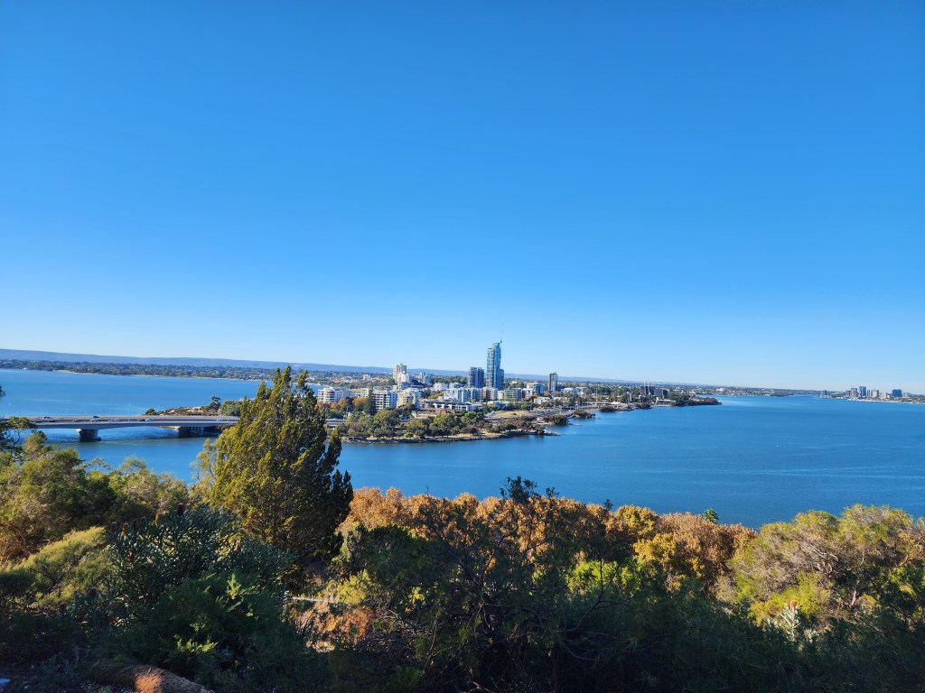 Kings Park – An Oasis in the&nbsp;City