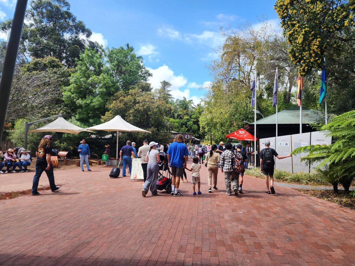 Perth Zoo – A Day With The&nbsp;Animals